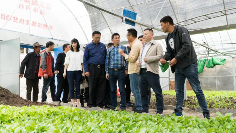 集團領導調研督導麻格同村幫扶工作