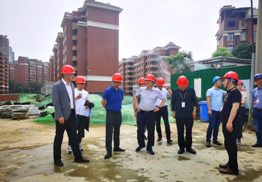 尊龍凱時集團經營提升年專責工作組 開展系列項目督導