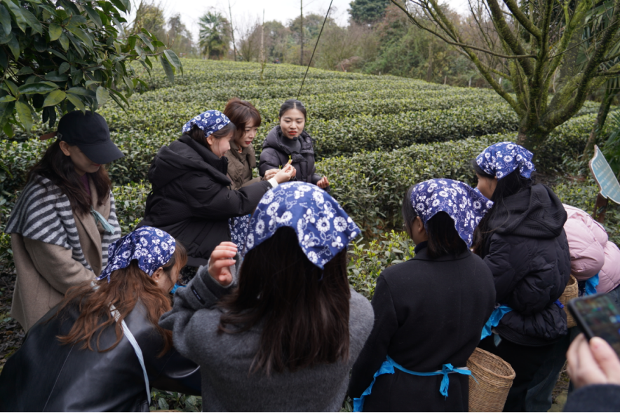 省尊龍凱時集團下屬企業組織開展“三八”國際勞動婦女節主題活動